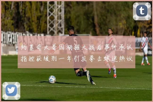约基奇大哥因湖掘大战后事件承认指控获缓刑一年引发拳击球迷热议