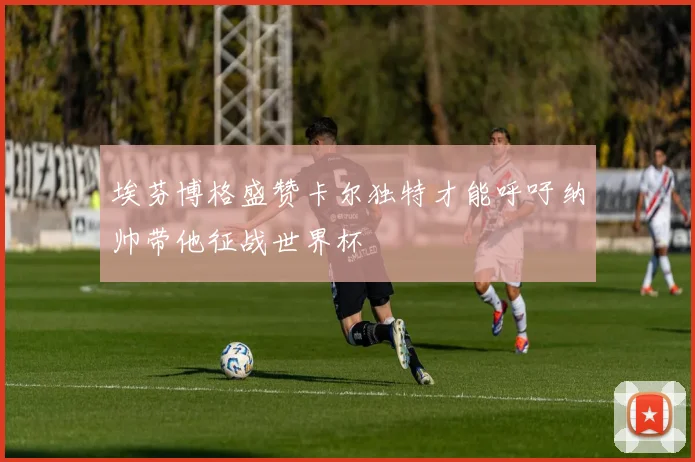 埃芬博格盛赞卡尔独特才能呼吁纳帅带他征战世界杯