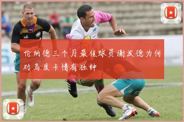 伦纳德三个月最佳球员谢泼德为何对乌度卡情有独钟